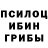 Галлюциногенные грибы Psilocybine cubensis Rahmetov Chingiskhan